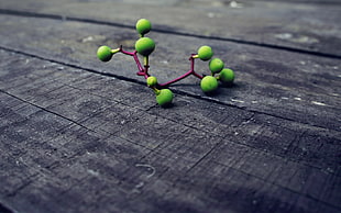 green fruits on black wooden surface